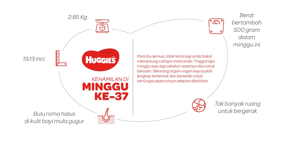 Kehamilan Di Minggu Ke-37 | Huggies Malaysia